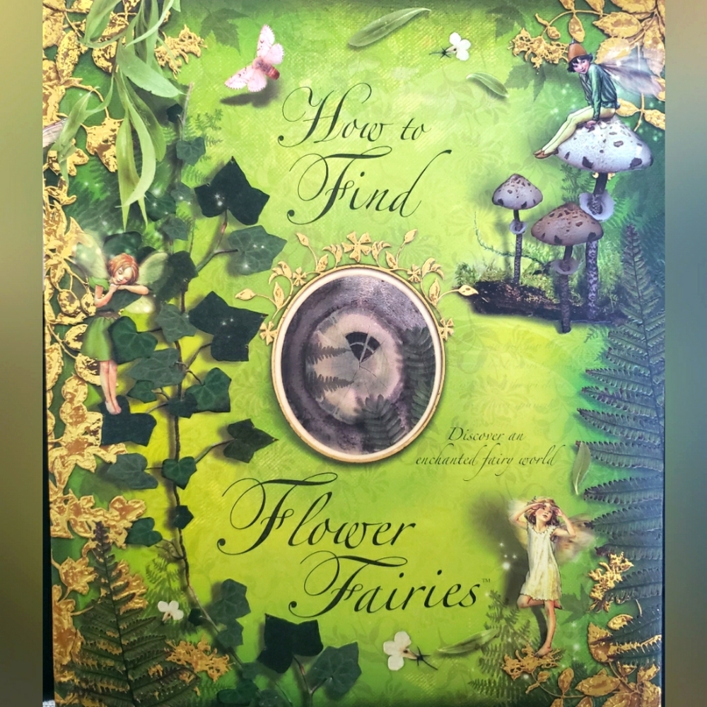 How to Find Flower Fairies GORGEOUS pop-up book